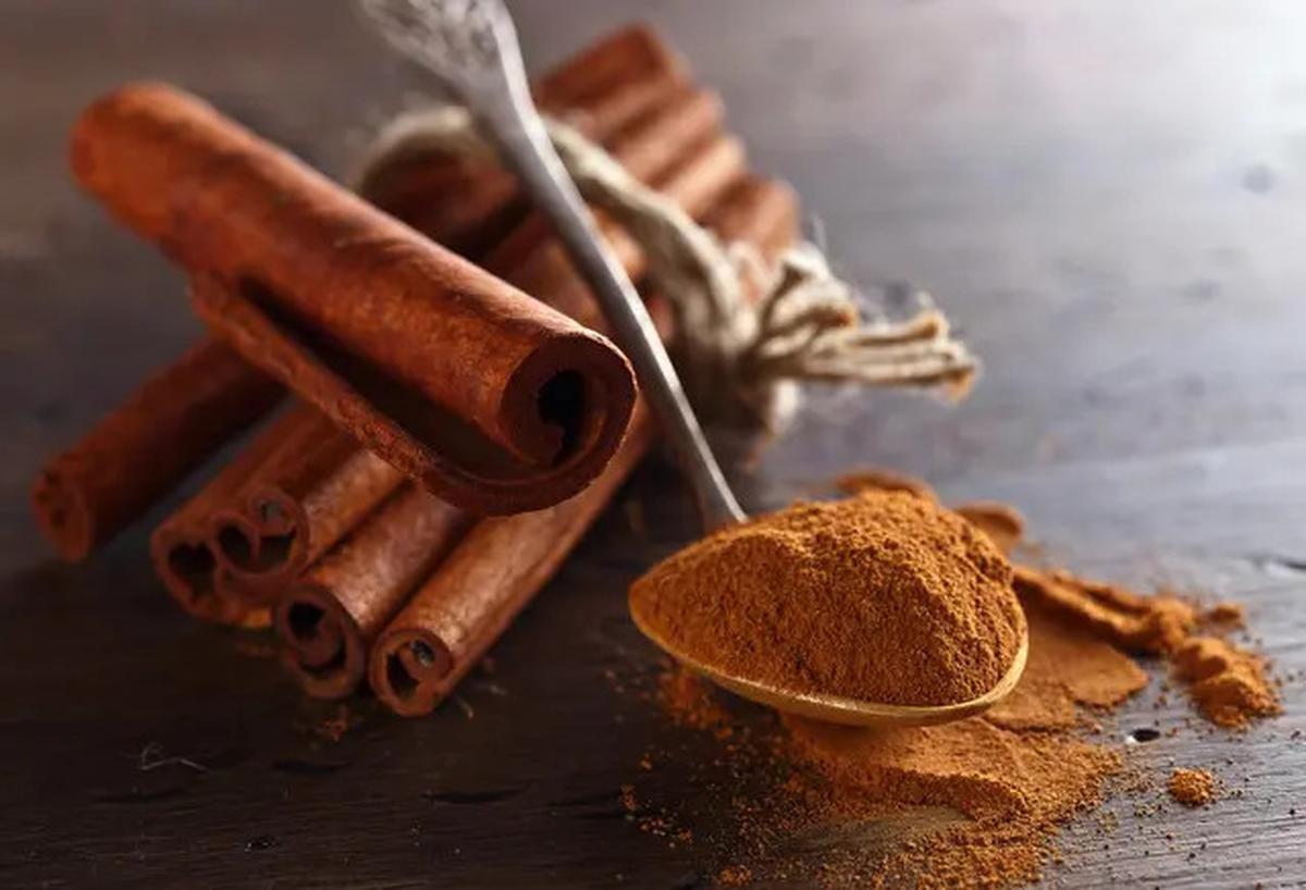 Cara Cegah Ular Masuk Rumah, Cukup Gunakan Bahan-bahan Masak