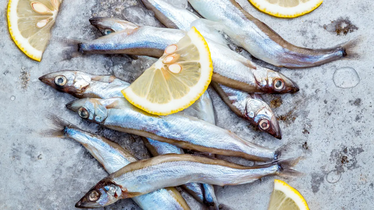 Ikan