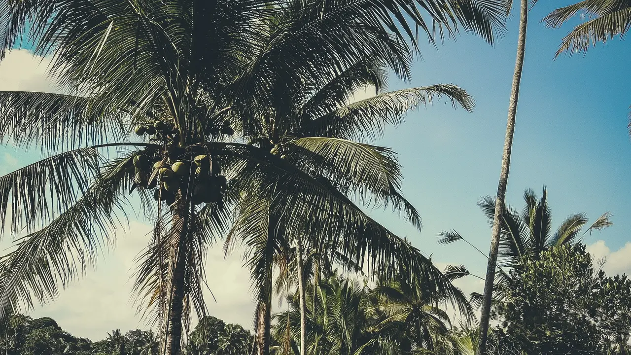 Wisata di Bali