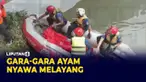 Berawal dari ingin menyelamatkan seekor ayam peliharaannya yang kabur dan hendak lompat ke dalam kali Cengkareng drain, seorang pemuda tewas tenggelam.