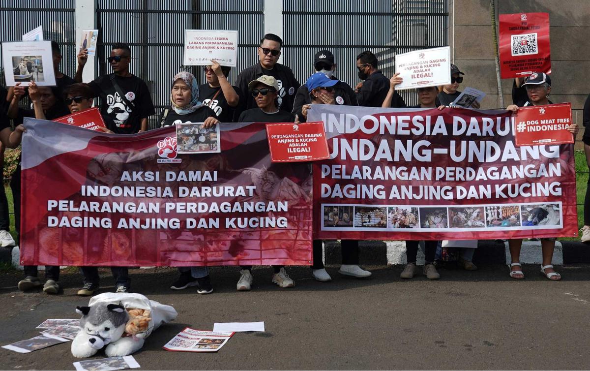 Aktivis Hewan Luapkan Kekecewaan RUU Perlindungan Anjing-Kucing Gagal Masuk RUU Prolegnas