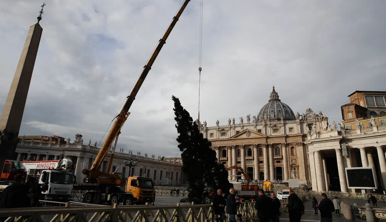 Sebuah crane mengangkat pohon cemara di Lapangan Santo Petrus, Vatikan, Kamis (21/11/2019). Pohon Natal setinggi 26 meter tersebut berasal dari Dataran Tinggi Asiago di timur laut Italia dan disumbangkan oleh wilayah Veneto. (AP Photo/Alessandra Tarantino)