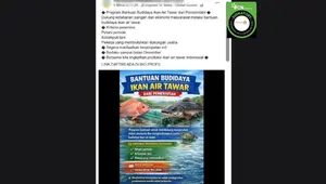 Kumpulan Hoaks Bantuan Budidaya Ikan di Facebook, Simak Daftar dan Faktanya