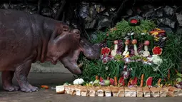 Roti, buah dan sayur dihadiahkan untuk Mali saat ulang tahun ke-50 di Kebun Binatang Dusit, Bangkok, Thailand, Jumat (23/9). (REUTERS / Chaiwat Subprasom)
