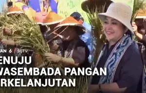 Titiek Soeharto Pimpin Kunjungan Kerja Komisi IV DPR Pantau Panen Raya di Klaten