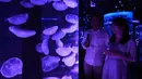 Pengunjung melihat Kawanan ubur-ubur di dalam akuarium Epson Aqua Park Shinagawa, Tokyo, Jepang (6/7/2015). Terdapat Ubur-ubur dengan berbagai bentuk saat pembukaan Epson Aqua Park Shinagawa. (AFP PHOTO/TOSHIFUMI KITAMURA)