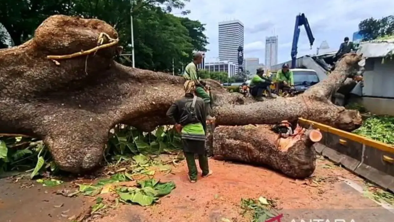 Pohon tumbang menimpa fasilitas MRT