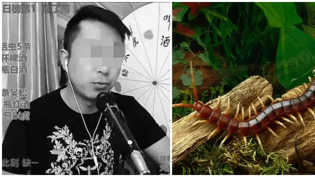 Coba Makan Hewan Beracun, Vlogger Ini Meninggal Ketika Siaran Langsung