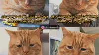 Meme gombalan kucing (Sumber: Instagram/nekorenid)