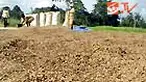 Puluhan ton gabah hasil panen petani di Konawe, Sultra, rusak parah akibat banjir yang menggenangi ratusan hektare sawah. Ratusan karung gabah tak layak konsumsi dibuang. 