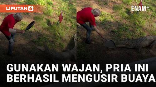 VIDEO: Gunakan Wajan, Pria Ini Berhasil Mengusir Buaya yang Hendak Menyerangnya