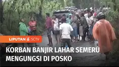 Pascabanjir lahar Semeru, puluhan warga dari dua desa di Lumajang, terpaksa diungsikan. Mereka membutuhkan makanan siap saji, alas tidur, dan obat-obatan.