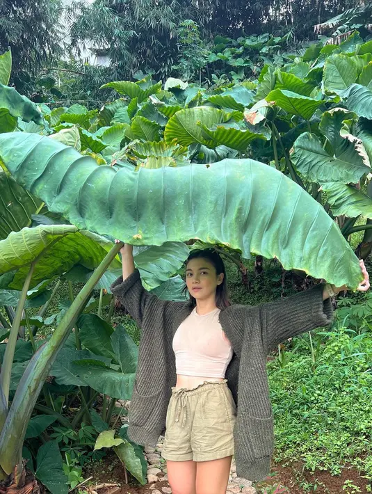 Di hutan Angela Gilsha, tak takut kehujanan meski tak membawa payung. Ia memanfaatkan daun ukuran besar untuk melindungi kepalanya. (Foto: Instagram/@angelagilsha)