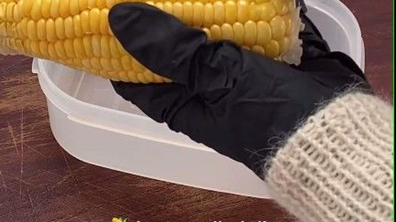 Pipil Jagung Terlebih Dahulu