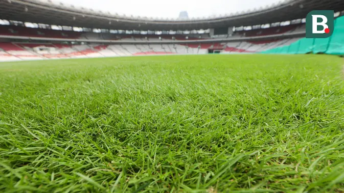 Kondisi rumput Stadion Utama Gelora Bung Karno (SUGBK) terlihat rapi dan siap digunakan untuk pertandingan kualifikasi Piala Dunia 2022 antara Indonesia vs Jepang pada Kamis (24/3/2022).