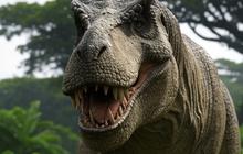 Daftar Negara dengan Penemuan Fosil Dinosaurus Terbanyak