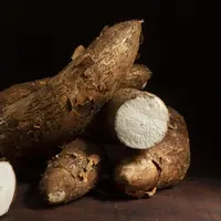 Ilustrasi Singkong. Photo Copyright by Freepik