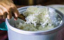 Solusi Mudah Bagi Penderita Diabetes dan Diet, Begini Cara Praktis Memasak Nasi Rendah Gula
