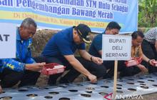 Tahukah Anda? Deli Serdang Proyeksikan STM Hulu Jadi Sentra Bawang Merah, Jamin Pasokan & Tekan Inflasi