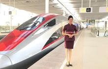 Pesan Tiket Kereta Cepat Whoosh Bisa Dapat Diskon 20 Persen, Begini Caranya