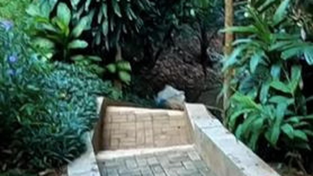 Adem dan Sejuk Banyak Pepohonan Bikin Betah, Begini Potret Kampung Condet di Jakarta Timur