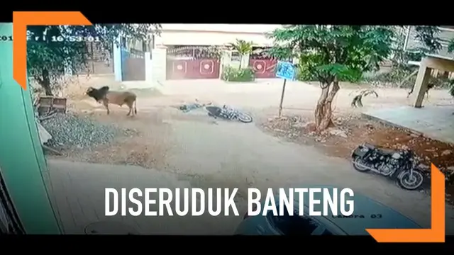 Momen mengerikan terekam kamera saat pengendara motor di India diseruduk banteng yang melintas tiba-tiba.