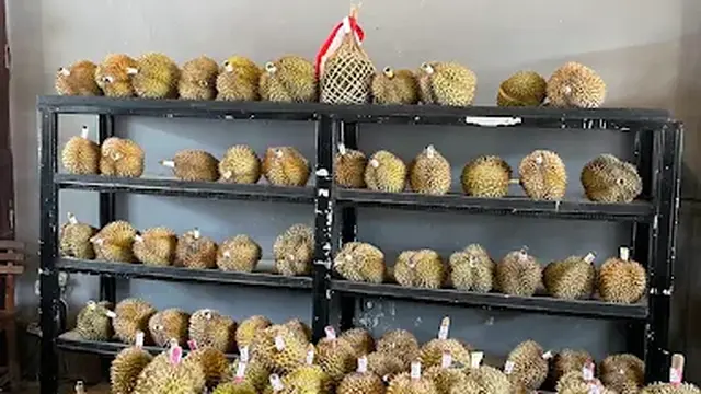 Bhumi Durian Jogja