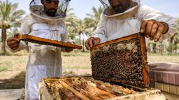 yang memengaruhi lingkungan yang dibutuhkan lebah untuk menghasilkan madu.(AFP/AHMAD AL-RUBAYE)