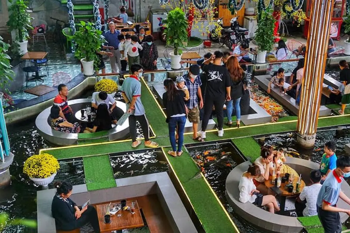 Kafe ikan koi di Ho Chi Minh Vietnam