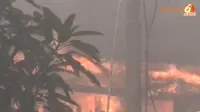 [VIDEO] Si Jago Merah Sambangi Tanjung Priok, Warga Menangis