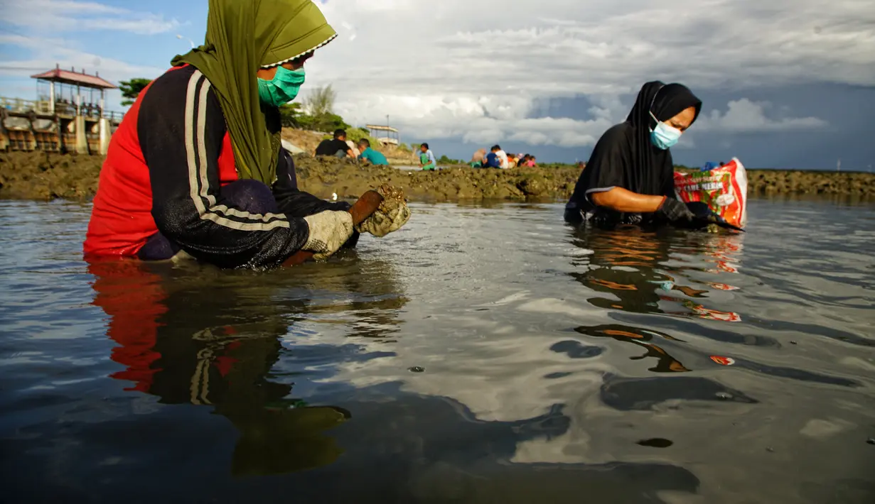 Penduduk desa memanen tiram di muara sungai di tepi pantai di Lhokseumawe, provinsi Aceh (27/6/2021). Tiram di Aceh memiliki kadar logam sangat rendah, membuat tiram Aceh berkualitas baik dan aman dikonsumsi. (AFP/Azwar Ipank)
