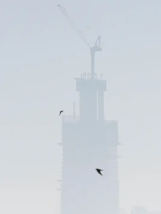 Burung terbang menenbus kabut asap yang menutupi Sydney pada Selasa (19/11/2019). Sydney diselimuti kabut asap saat kebakaran hutan di timur Australia menyebabkan tingkat polusi di kota terbesar Australia itu naik tajam. (AP Photo/Rick Rycroft)