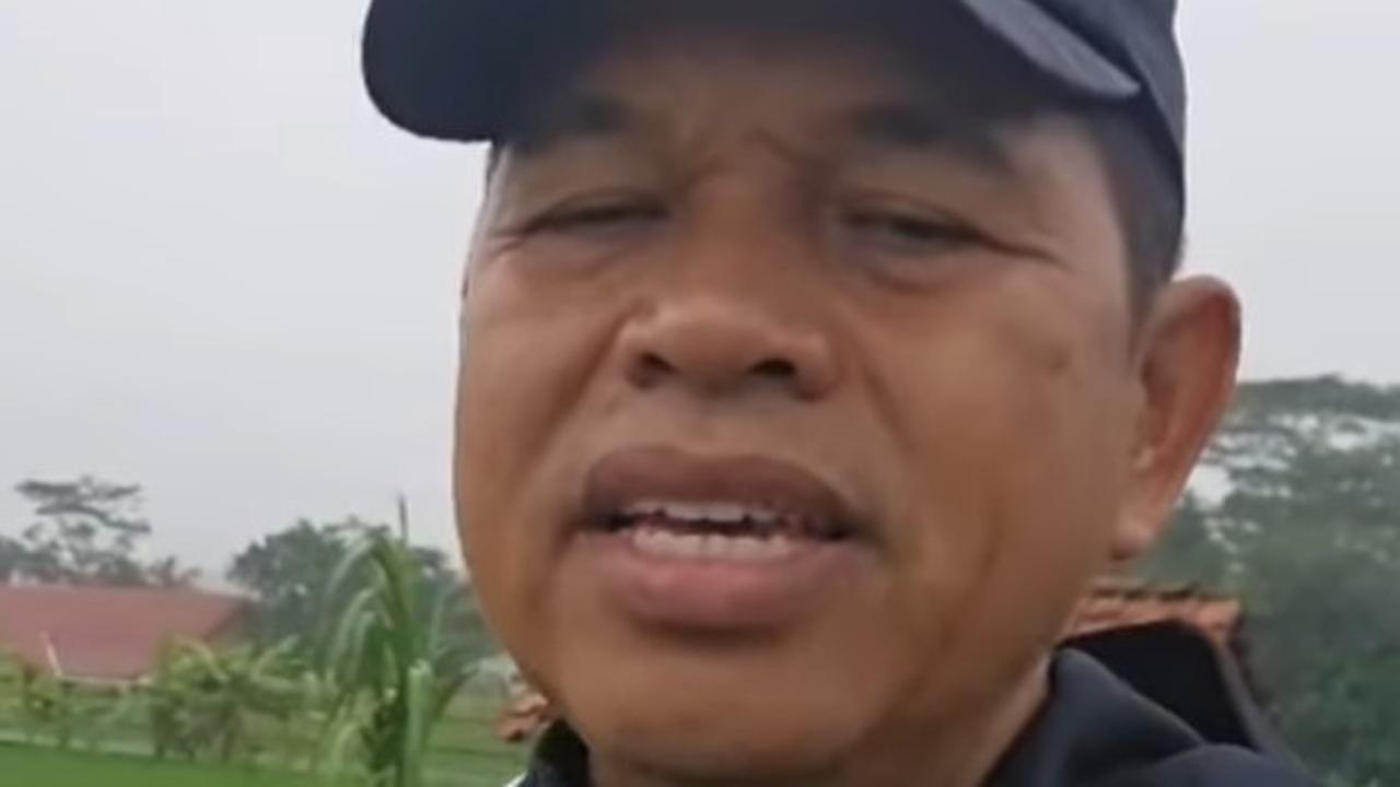 dedi mulyadi