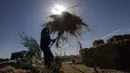 <p>Seorang petani mengambil bagian dalam panen gandum tahunan di sebuah ladang di Rafah, Jalur Gaza, Palestina, Minggu (8/5/2022). (SAID KHATIB/AFP)</p>