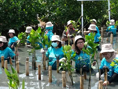 Karyawan melakukan gerakan tanam mangrove dalam rangka World Clean Up day di Jakarta. Memperingati Hari Bumi mengusung tema Restore Our Earth berfokus pada proses alam, perkembangan teknologi ramah lingkungan dan pemikiran inovatif yang dapat memulihkan ekosistem dunia. (Liputan6.com/Pool/Allianz)