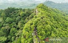 IKN Lindungi Satwa Liar dan Bangun Hutan Endemik Kalimantan, Wujudkan Kota Hutan Berkelanjutan