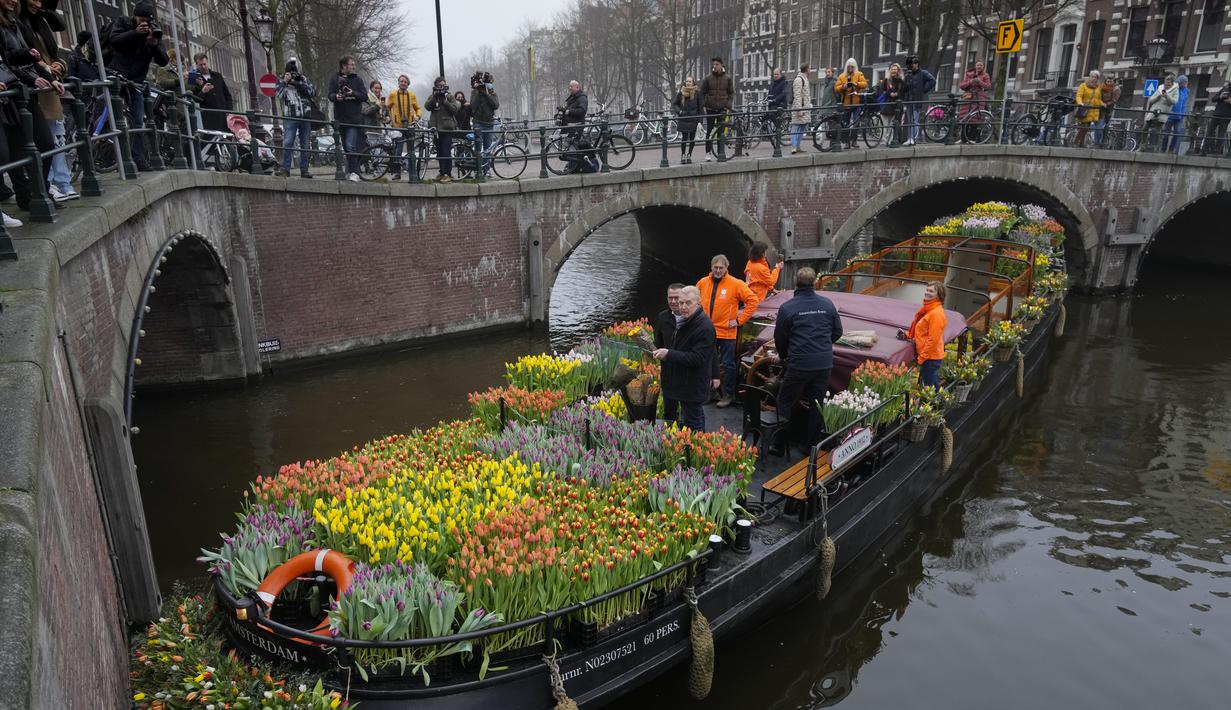 Orang-orang menunggu di jembatan untuk mendapatkan karangan bunga tulip gratis di Amsterdam, Belanda, Sabtu (15/1/2022). Toko-toko di seluruh Belanda dengan hati-hati dibuka kembali setelah berminggu-minggu penguncian virus corona. (AP Photo/Peter Dejong)