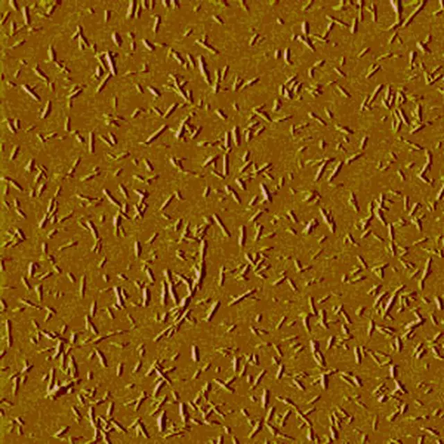 Cellulose nanocrystals