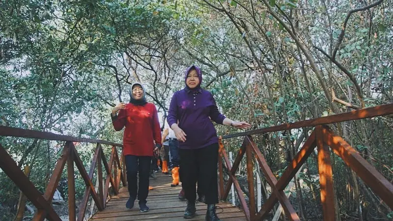 7 Potret Suasana Penanaman Pohon di Kebun Raya Mangrove Pertama di Dunia