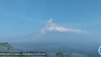 Penampakan secara visual Gunung Semeru dari PPGA Semeru di Lumajang.
