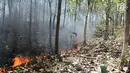 Petugas Dinas Kehutanan berusaha memadamkam api yang membakar hutan jati di Kecamatan Juwangi Boyolali, Jawa Tengah, Senin (6/8). Warga menduga api berasal dari puntung rokok yang dibuang orang tak bertangung jawab. (Liputan6.com/Gholib)
