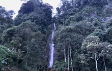Jadi Hidden Gem di Jonggol, Intip Indahnya Curug Cibeureum yang Hijau dan Dikelilingi Kabut