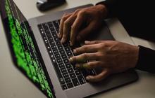 Kelompok Hacker Minta Maaf dan akan Kasih Kunci Gratis Akses PDNS yang Diretas