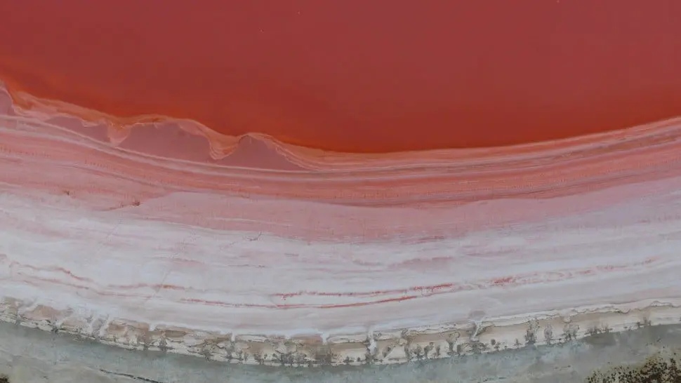 Danau Pink di Australia Barat. (Doc: jarrd.tdd/Dronestagram)