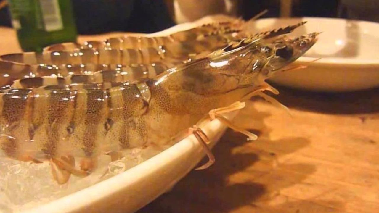 4. Odori Ebi