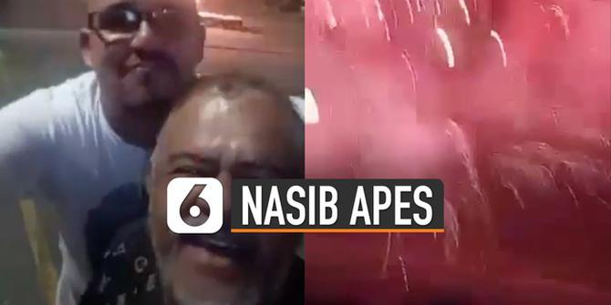 VIDEO: Nasib Apes Dua Pria Diberondong Kembang Api