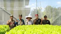 Kisah Saiful dan Ferdiansyah, Petani Muda Banyuwangi yang Panen Cuan dari Selada Hidroponik