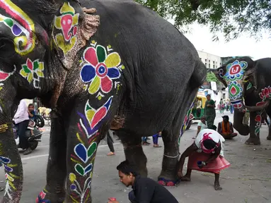 Seekor gajah dilukis menjelang festival Hindu tahunan Rath Yatra di Ahmedabad, India (3/7/2019). Festival Rath Yatra dijadwalkan akan dimulai pada 4 Juli tahun ini dan akan dimeriahkan oleh sekitar 15 gajah. (AFP Photo/Sam Panthaky)