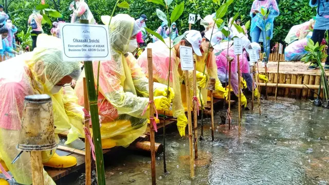Sejak tahun 2011, Pemprov DKI Jakarta bekerjasama dengan AEON Environmental Foundation mengadakan penanaman pohon selama 2 tahap di daerah seperti hutan bakau dan sejenisnya (Istimewa)