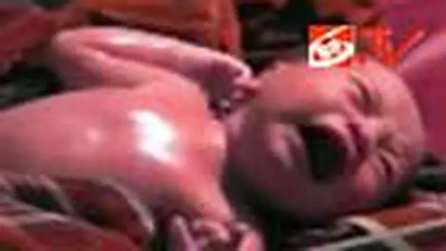 Kejutan 21 Bayi SCTV (Wonosobo)